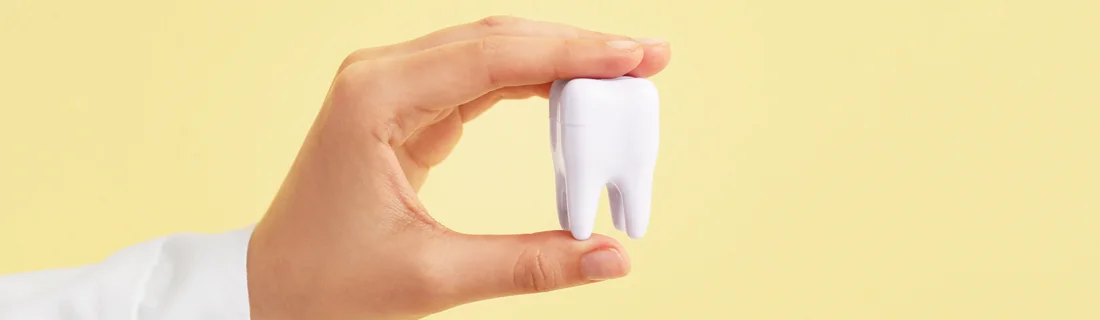 Our Office in Brownsville TX